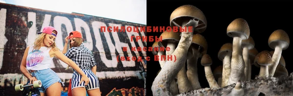 круглые Аркадак