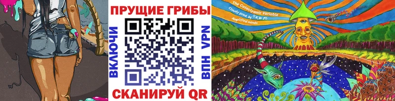 Псилоцибиновые грибы прущие грибы  Купить  Волхов 
