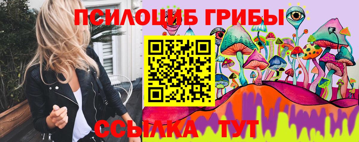 Галлюциногенные грибы Magic Shrooms  Волхов 