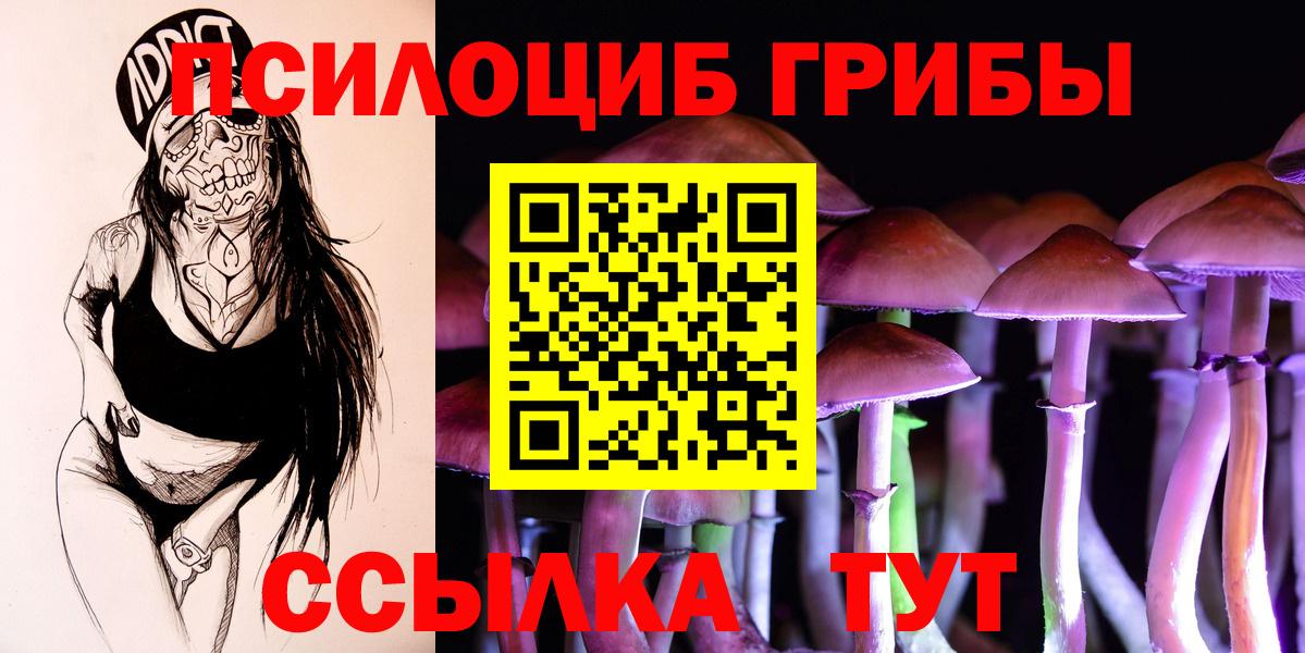 Псилоцибиновые грибы мицелий Волхов