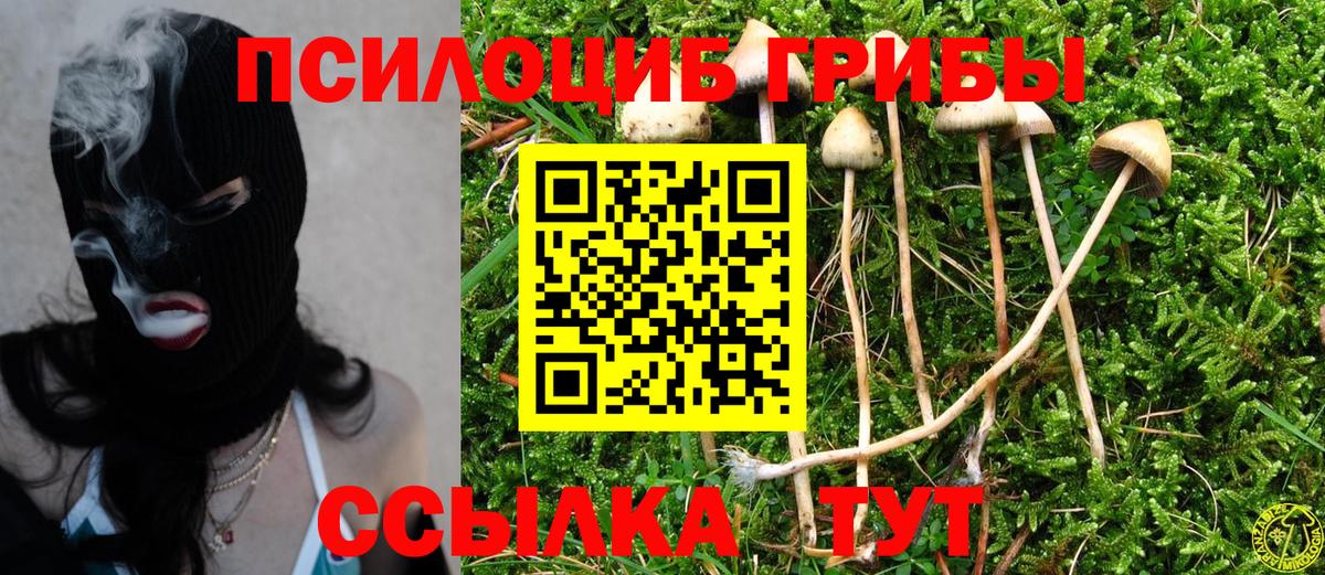 Галлюциногенные грибы прущие грибы  Вход с VPN  Галлюциногенные грибы ЛСД  Волхов 