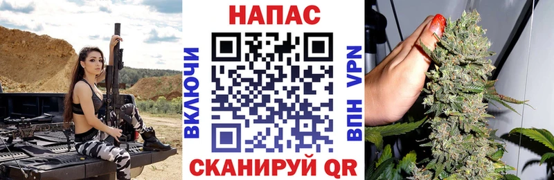 Купить где Волхов Бошки марихуана тримм