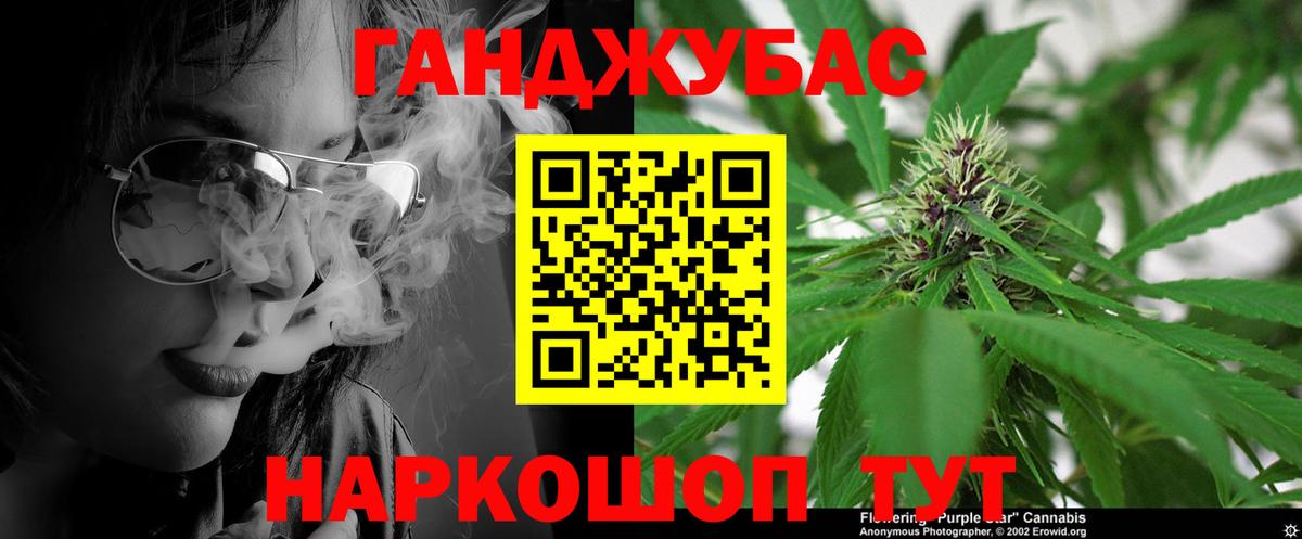Канабис конопля  Шишки марихуана гибрид  Волхов  МАРИХУАНА Ganja 